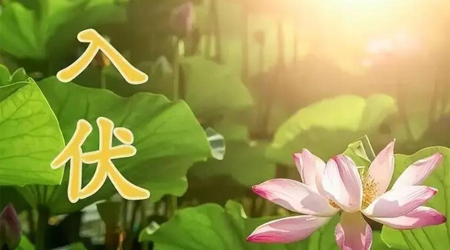 入伏天來襲！金環(huán)電器提醒大家要注意的事項(xiàng)