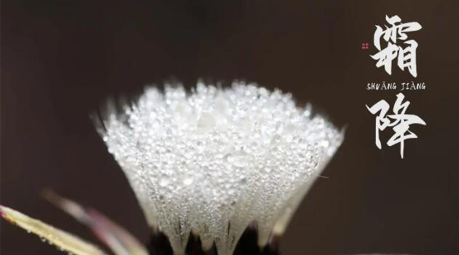 霜降時節(jié)！金環(huán)電器提醒大家要注意的事項