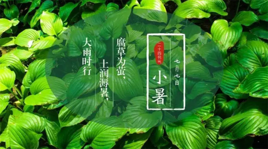 小暑時節(jié)來到！金環(huán)電器提醒大家要注意的事項