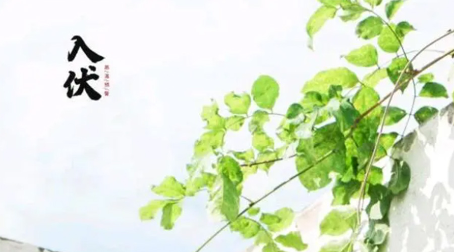 初伏時節(jié)！金環(huán)電器提醒大家要注意的事項